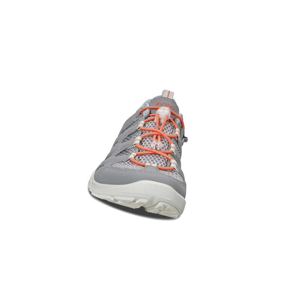 Women's Ecco Terracruise Lt Outdoor Hiking & Trail Silver / Grey | Canada 149ZUT